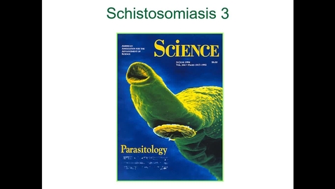 Thumbnail for entry IM618 - Schistosomiasis 3: Diagnosis and Treatment