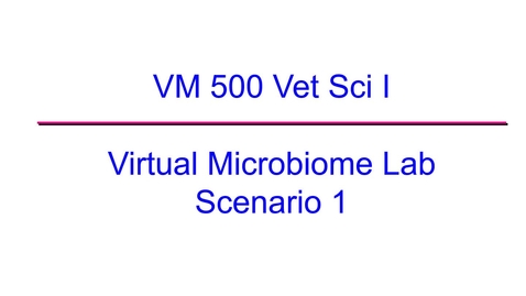 Thumbnail for entry VM 500-Virtual Microbiome Lab 2020 Scenario 1
