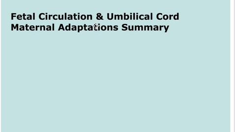 Thumbnail for entry 1-7 Fetal Circulation Umbilical Cord