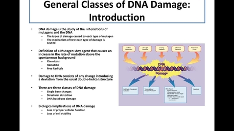 Thumbnail for entry Classes of DNA Damage