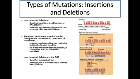 Thumbnail for Insertions and Deletions