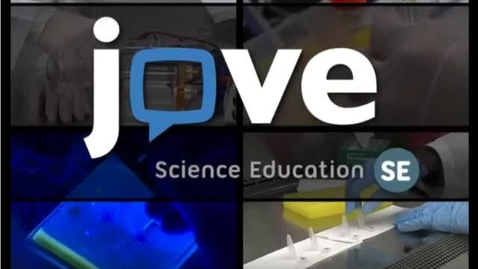 Thumbnail for Gel Purification