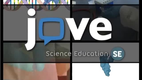 Thumbnail for DNA Ligation 