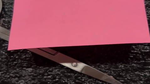 Thumbnail for Fetal Pig 2