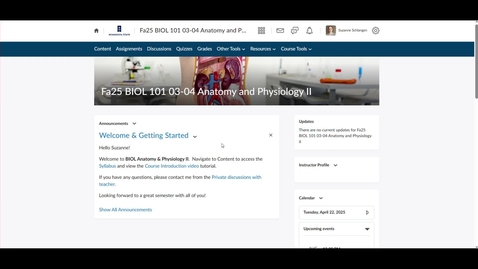 Thumbnail for Evaluate &amp; Grade Video Assignments in D2L Brightspace