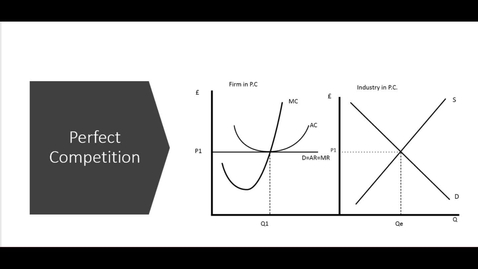 Thumbnail for Perfect Competition and Monopoly