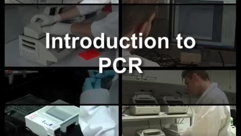 Thumbnail for Polymerase Chain Reaction