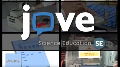 Thumbnail for Molecular Cloning