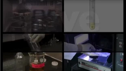 Thumbnail for DNA Plasmid Purification