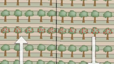 Thumbnail for Strike-SlipTrees.mov