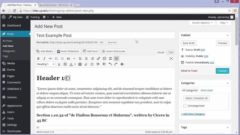 Thumbnail for Wordpress Tutorial: Text Editor