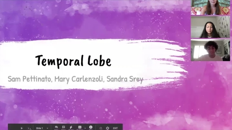 Thumbnail for Temporal lobe
