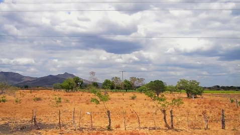 Thumbnail for Nicaragua Immersion