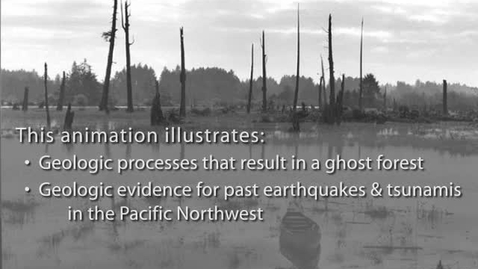 Thumbnail for CEE3 - Ghost Forest Pacific Northwest (topic 2 supplemental)
