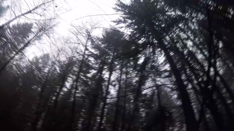 Thumbnail for 12 Mile Tuesday