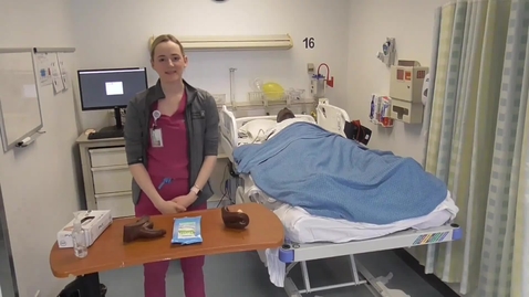 Thumbnail for Perineal and Catheter Cares 