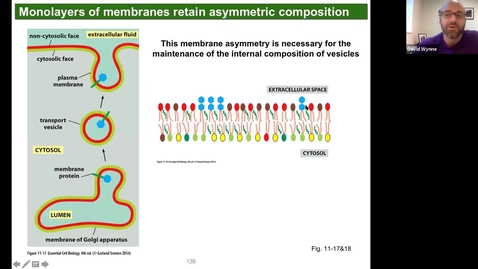 Thumbnail for entry BIO354 - Ch. 11 mini-lecture - Membranes &amp; membrane proteins