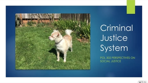 Thumbnail for Pol 302 Criminal Justice