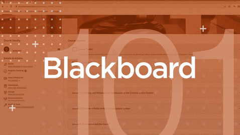 Thumbnail for Blackboard 101 | Faith Miller 