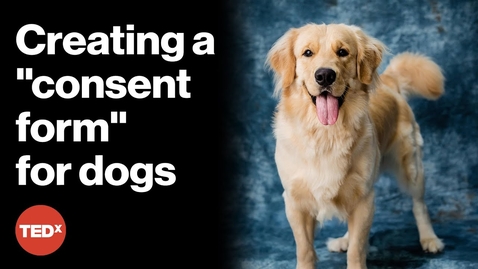 Thumbnail for Can dogs agree to participate in research? | Maria Botero | TEDxSHSU
