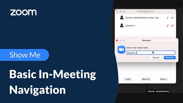 Basic In-Meeting Navigation
