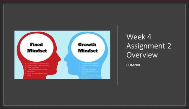 Week 4 Assignment 2 Overview Video COM200