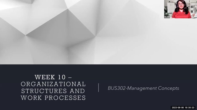 Week 10 - Organizational Structures and Work Processes