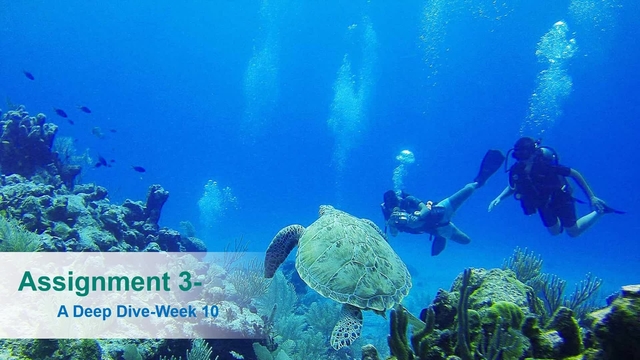 Deep Dive on Assignment 3-Week 10