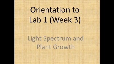 Solution Light Spectrum And Plant Growth Lab Worksheet Studypool