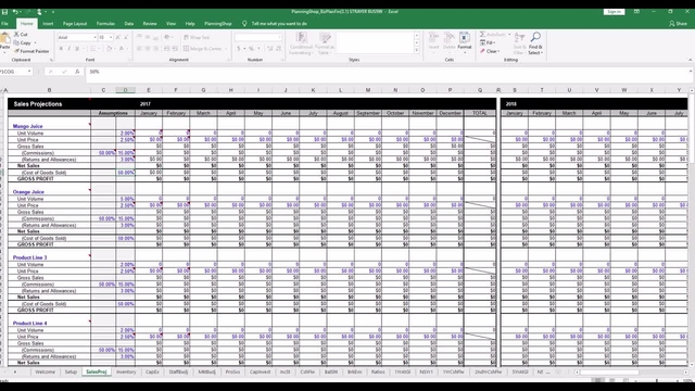 BUS599 Excel Sales Projections worksheet