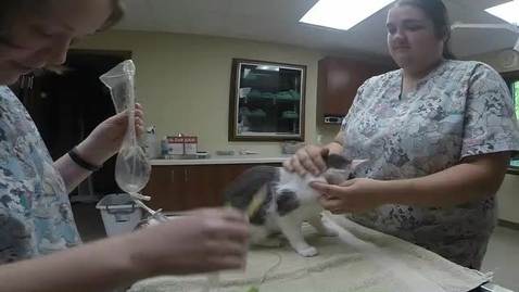 Thumbnail for 5 - SQ Fluids.mp4