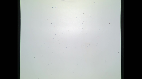 Thumbnail for Fall 2018 - MA261 - Chen