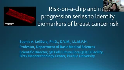 Thumbnail for entry PCCR Discovery to Translation Seminar Series: Dr. Sophie Lelièvre - Risk-on-a-chip and risk progression series to identify biomarkers of breast cancer risk