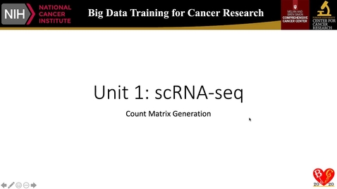 Thumbnail for entry 5_RNA-seq_countMatrixGeneration