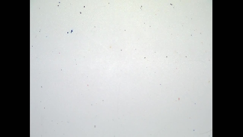 Thumbnail for Fall 2019 - MA162 - Chen