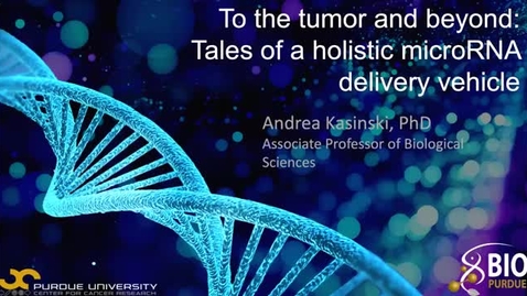 Thumbnail for PCCR Discovery to Translation: Dr. Andrea Kasinski, &quot;To the tumor and beyond: Tales of a holistic microRNA delivery vehicle.&quot;