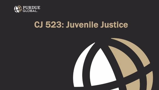 CJ523 Into Video