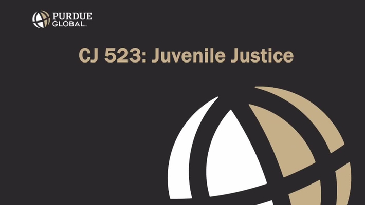 CJ523 Into Video