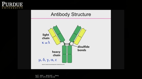Thumbnail for Fall 2021 - BIOL537 - Deng