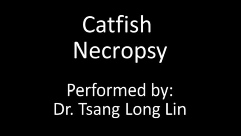 Thumbnail for Pathology Rounds