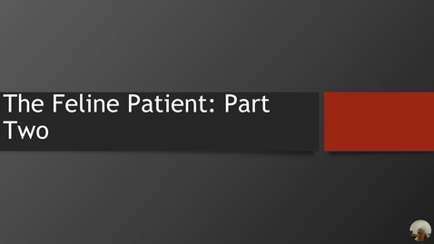 Thumbnail for 7-Feline part two- lecturer- completed