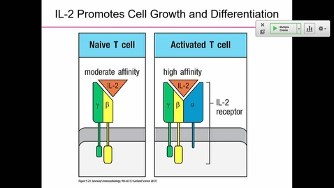 Thumbnail for Fall 2019 - BIOL537 - Deng