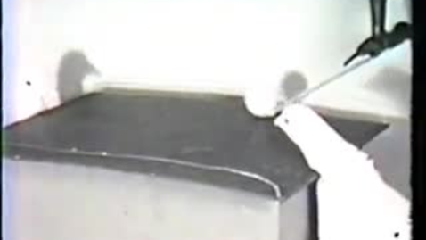 Thumbnail for Skinner: Pigeon Ping Pong