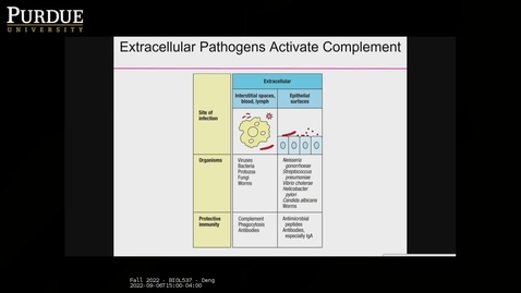 Thumbnail for entry Fall 2022 - BIOL537 - Deng