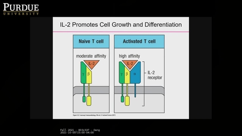 Thumbnail for Fall 2021 - BIOL537 - Deng