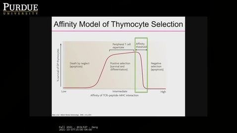 Thumbnail for Fall 2021 - BIOL537 - Deng