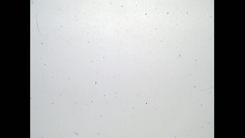 Thumbnail for Fall 2019 - MA162 - Chen