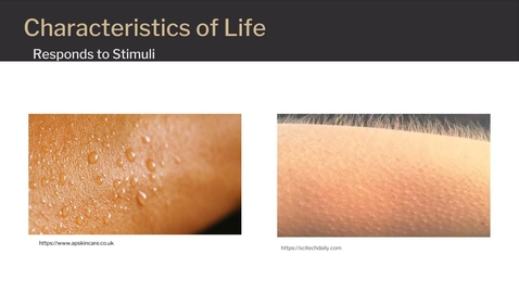 Thumbnail for Characteristics of Life