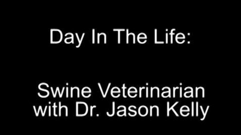 Thumbnail for Day in the Life: Swine Veterinarian, Dr. Jason Kelly