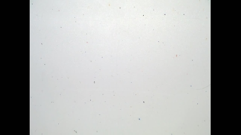 Thumbnail for Fall 2019 - MA162 - Chen